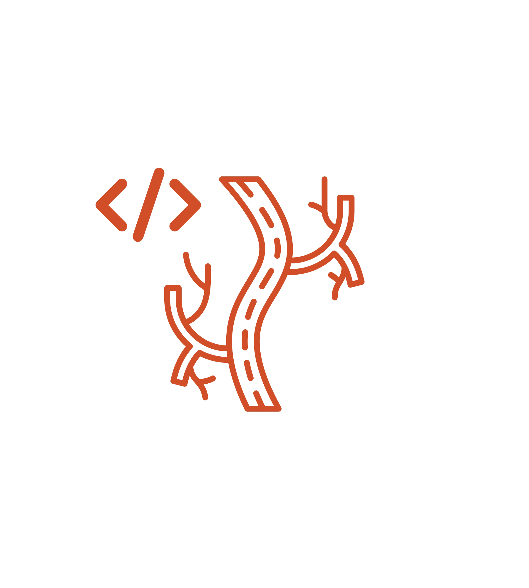 Expert Knowledge in Vascular Surgery Codes