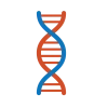 Medical genetics