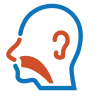 Otorhinolaryngology