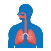 Pulmonology