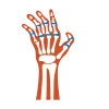 Rheumatology