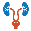 Urology